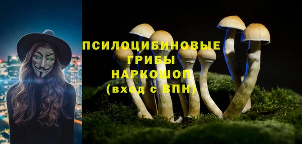 СК Михайловск
