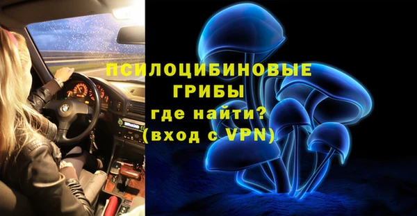 СК Михайловск