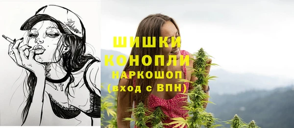 СК Михайловск
