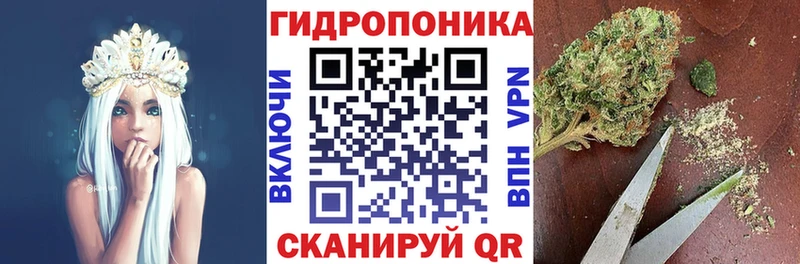 Конопля Ganja Брюховецкая